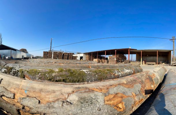 producție de mături din sorg 